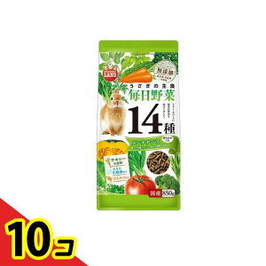 yIinjz~j}h ̎H 14탁eiX 850g 10Zbg