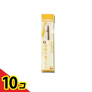 yIinjzHaRENO nm Ղ̎uV ӂ NAuE 1{ 10Zbg