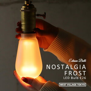 y5̂500~offN[|zmX^WA tXg GW\ ou LEDd E26 NOSTALGIA FROST LED Bulb LEDou Ή tXgKX KX  ԐڏƖ CeA g 