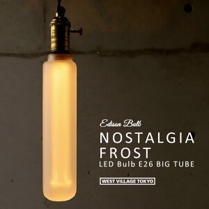 mX^WA BIG tXg `[u GW\ ou LEDd GW\d E26 NOSTALGIA LED Bulb 傫 rbO  ^ LEDou Ή Ɩ KX  CeA g EGX