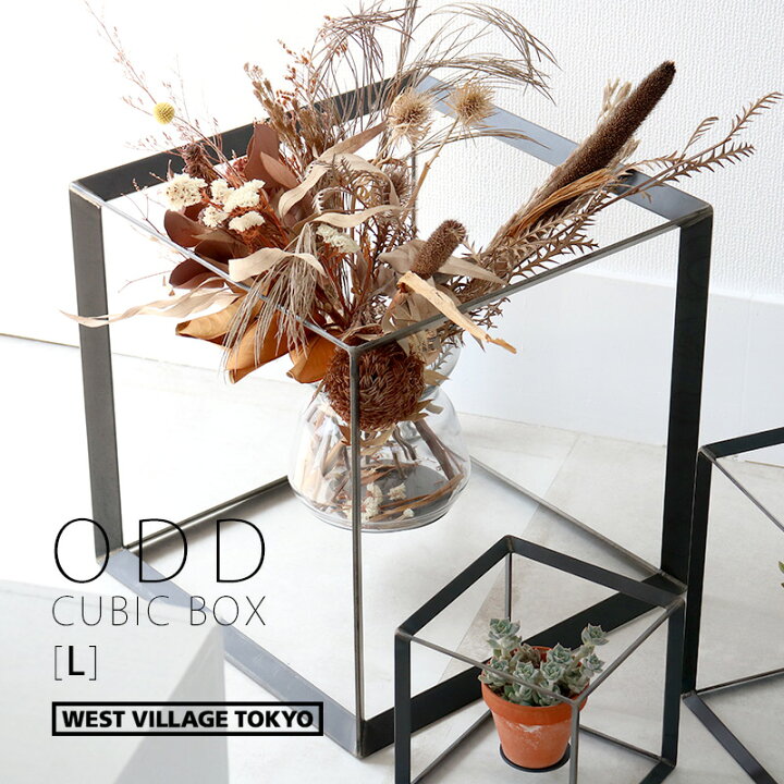 楽天市場】【MAX2000円OFFクーポン】ODD CUBIC BOX [L] ディスプレイ 