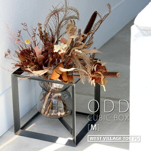 ODD CUBIC BOX [M] fBXvC{bNX v^[X^h ACA  Ibh L[u{bNX vgX^h ϗtA A  K[fjO AX^h CeA EGXgr