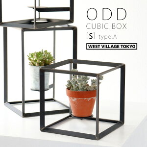 yT500~OFFN[|zODD CUBIC BOX [S] ^CvA fBXvC{bNX v^[X^h ACA  Ibh L[u{bNX? vgX^h ϗtA A  K[fj