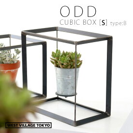 ODD CUBIC BOX [S] タイプB ディスプレイボックス プランタースタンド アイアン おしゃれ オッド キューブボックス  プラントスタンド 観葉植物 植木 花 ガーデニング 植物スタンド インテリア ウエストビレッジトーキョー