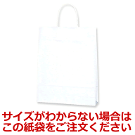サイズがわからない場合はこの手提げ紙袋をご注文ください （備考欄に用途を記入してください）※※注文…