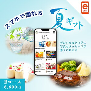 X}ző WEBJ^O ăMtg BR[Xye-giftz