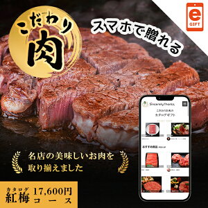 X}ző WEBJ^O ̂Mtg@g~ye-Giftz