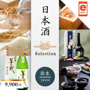 X}ző@WEBJ^O@{ZNV@퐶ye-giftz