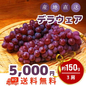 デラウェア(ぶどう)