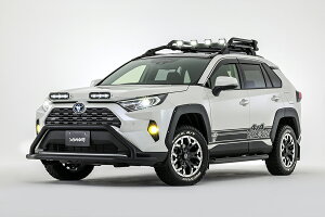 A@c@[ RAV4 MXAA54 AXAH54 I[o[tF_[KIT h AVANZARE