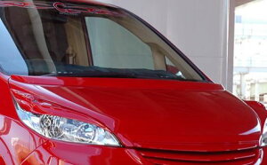 AtFNV XebvS Xp[_ RG1 RG2 RG3 RG4 {lbgEBO h AFFECTION ULTIMATE AeBbg