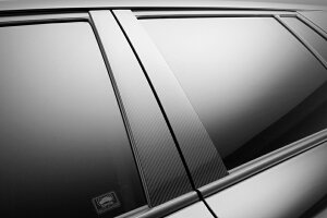 @h hN[U[ URJ202  J[{s[pl WALD Sports Line Black Bison X|[cC ubNoC\