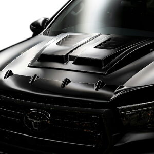 @h nCbNX GUN125 O oOK[h WALD SPORTS LINE BLACK BISON EDITION X|[cCubNGfBV