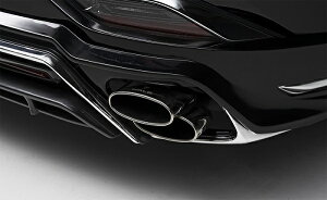 @h nA[ MXUA80/85 }t[A_v^[ WALD Executive Line GN[NeBuC