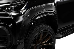 @h nCbNX GUN125  I[o[tF_[ FRP h WALD SPORTS LINE BLACK BISON EDITION X|[cCubNGfBV