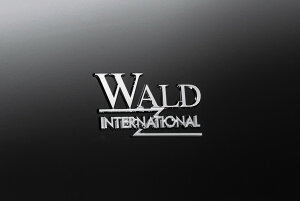 @h LX600 3BA-VJA310W Cs[Gu WALD