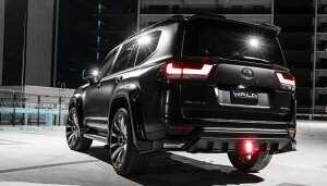 @h hN[U[ 300 FJA300 VJA300W AQ[gX|C[ WALD