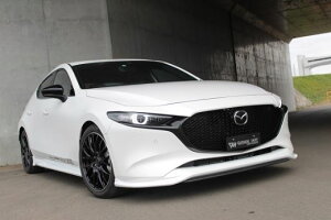 K[Wx[ }c_3 5BA-BPFP tgXvb^[ FRP h 20-3006 GARAGE VARY VALIANT @Ag