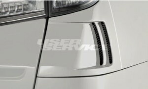 VNuCY At@[h Ft@CA 20n R[i[_Ngpl FRP h PL-A-VE-RCD-### SilkBlaze