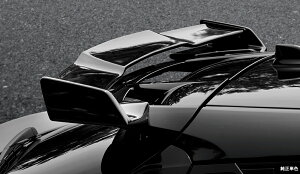 VNuCY C-HR ZYX10 NGX50 AEBO ECO FRP h蕪h SB-CHR-RW-### SilkBlaze