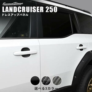 ZJhXe[W hN[U[250 hAnhveN^[pl(Jo[) AN(ϏՌ)όAϔMNA}bgubNJ[{̂AES T798 SecondStage