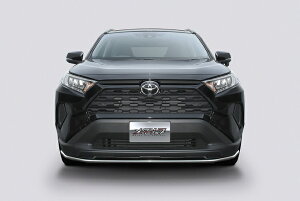 gbvC RAV4 50n O tgbvX|C[ XeXpCv T02@TOP LINE METALIP ^bv