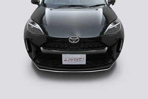 gbvC XNX 10n O tgbvX|C[ XeXpCv T12 TOP LINE METALIP ^bv