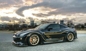 EF GT-R GTR R35  TChXebv FRP h 1N005J00 ROWEN WORLD PLATINUM [hv`i