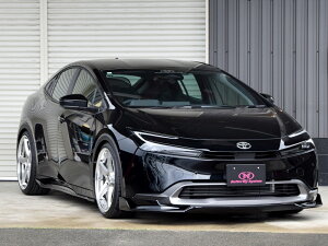 o^tCVXe vEX MXWH60/65 ZVW60/65 tgn[tX|C[ t^Cv FRP h Butterfly System GLANZ FLAP Oc tbv