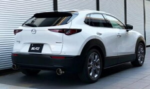 ubc CX-30 DM8P }t[ XeX 63191 BLITZ NUR-SPEC CUSTOM EDITION jXybN JX^GfBV