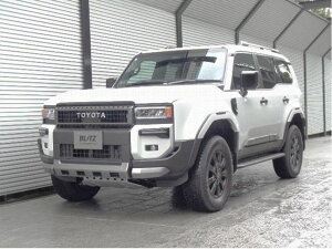 ubc hN[U[250 TRJ250WAGDJ250W S32i͒ԍLbg 92662 BLITZ DAMPER ZZ-R LIFT UP _p[ZZRtgAbv