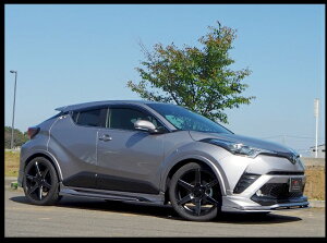 GtH[h C-HR NGX50 ZYX10 TChXebv GNXeV FRP h Elford GAX^C