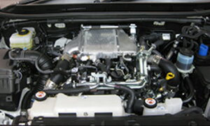 GtH[h hN[U[ vh Nvh 150n p[hZ^[pCv ⎮C^[N[[ Elford