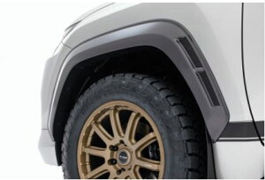 �W���I�X LX600 �I�[�o�[�t�F���_�[ type-R LX22+ CFRP��(�Y�f�@�ۋ�������/�N���A�h��) B129252CF JAOS