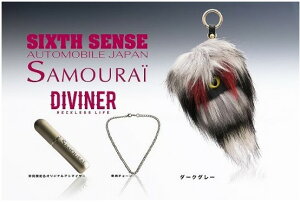 VbNXZX Wj[ JB64W J[ANZT[t@[fB {gu[̍ NOet058 SIXTH SENSE