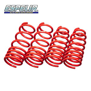 �G�X�y���A �X�J�C���C�� BCNR33 �X�v�����O �_�E���T�X ���A ESN-133R �X�[�p�[�_�E���T�X GT Super DOWNSUS GT ESPELIR