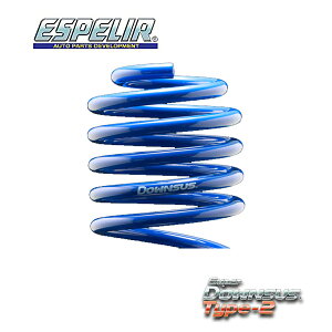 GXyA [NX ML21S nCEFCX^[ XvO _ETX tg ESN-1981F X[p[_ETX ^Cv2 Super DOWNSUS Type2 ESPELIR