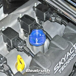 ���C�� �ėp �I�C���t�B���[�L���b�v S1401AM-Z1B LAILE Beatrush �r�[�g���b�V��