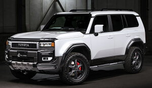 GYXs[h N hN[U[ GDJ250W TRJ250W 3_KIT(F/LED,R) AES h蕪h 2902-s001-222 M'z SPEED CROSS LINE NXC