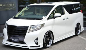 GYXs[h At@[h GGHEAGHEAYH30n O 4_Zbg FRP 2Fh蕪h 3023-s002 M'z SPEED GRACE LINE O[XC