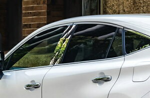 GYXs[h nA[ nA[nCubh MXUA80 AXUH80 XeXs[tN^[ 4s[X XeX XeX 2294-9142 M'z SPEED LUV LINE C