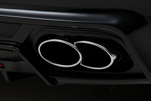 ���@���h �|���V�F �}�t���[�J�b�^�[ �I�[���X�e�����X WALD Sports Line Black Bison Edition �X�|�[�c���C���u���b�N�o�C�\���G�f�B�V����