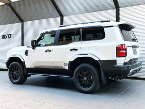 �u���b�c �����h�N���[�U�[250 �����N��250 GDJ250W �}�t���[ FC �X�e�����X 63212F BLITZ NUR-SPEC �j�����X�y�b�N �J�X�^���G�f�B�V����