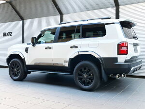 �u���b�c �����h�N���[�U�[250 �����N��250 GDJ250W �}�t���[ VS �X�e�����X 63212 BLITZ NUR-SPEC �j�����X�y�b�N �J�X�^���G�f�B�V����