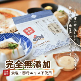 無添加 食塩不使用 酵母エキス 不使用 国産 出汁粉 1パック100g 薬剤師 監修 KAKEDASHI(かけだし) 無塩 粉末 出汁 だしパック サンセリテ札幌 無添加出汁 栄養 健康