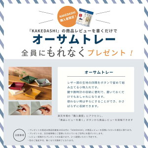 無添加食塩・酵母エキス不使用国産素材出汁1パック100g薬剤師監修KAKEDASHI(かけだし)ミネラル出汁かつおさばいわしあじ昆布椎茸ビタミンDビタミンB群マグネシウム食物繊維ビタミンDカルシウム・鉄食物繊維粉粉末