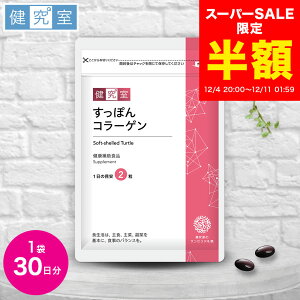 yX[p[SALEz2154~1077~zۂR[Q 1(30)  TZe Tvg NHi Y e  C\t{ [[[ ۂ R[Q  v[