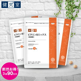 【10%OFF！期間限定6/4-6/11】ビタミンBミックス（持続型）3袋セット(90日分) [栄養機能食品＜ビオチン＞] ◆ サンセリテ サプリメント 健康食品 国産 イノシトール ナイアシン パンテトン酸 ビタミンB おすすめ プレゼント 送料無料 3ヵ月分 大容量