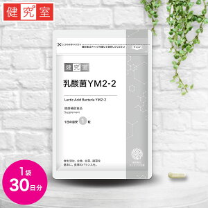 ygԒ܂̓_ہz_YM2-2 1(30)  Tvg NHi Y A_ _ YM2-2  h IgAR  TZe v[g gӒ gԒ