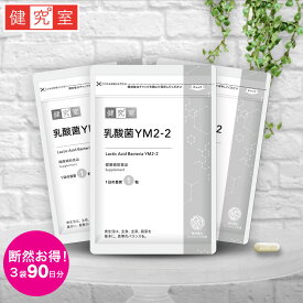 【阿波番茶生まれの乳酸菌】乳酸菌YM2-2 3袋セット(90日分) ◆ サプリメント 健康食品 国産 植物性乳酸菌 乳酸菌 YM2-2 守り 防御 IgA抗体 おすすめ サンセリテ プレゼント 阿波晩茶